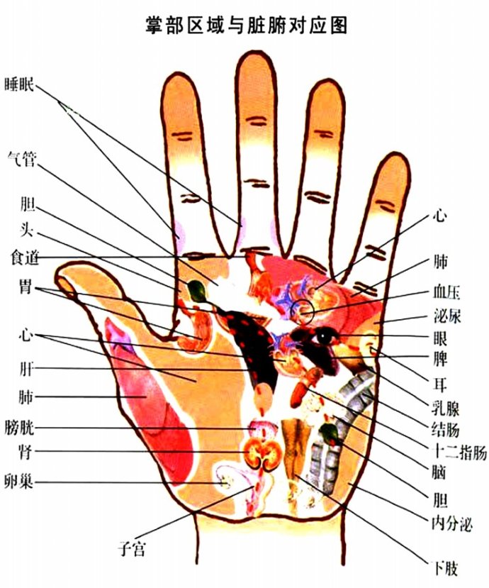 手诊专业知识手诊歌诀你知道吗?